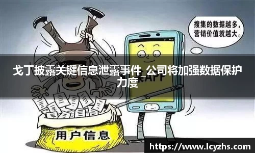 戈丁披露关键信息泄露事件_公司将加强数据保护力度